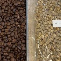 コーヒーが好きな人たち