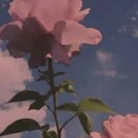 　　H　Q　: ＿  　固　定　パ　ロ　︎︎❤︎︎　
