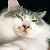 部屋の掃除一緒にがんばろ