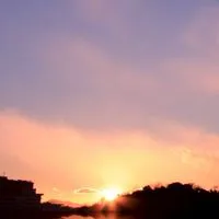 柴犬(≧▽≦)！歌、ライト好き集まれ〜！