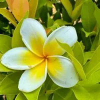 ちょこっと英語・英単語🍫📕