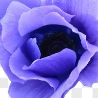 20代💕30代🩷40代💕50代以上の大人の雑談💕恋バナ❤️その先の先に