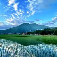 Runtrip in つくばマラソン2025