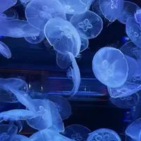 𝓔𝓽𝓮𝓻𝓷𝓪𝓵 𝓑𝓸𝓷𝓭