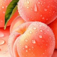 🍑関西🍑近畿🍑地域交流R∞M🍑30代40代50代🍑楽しい雑談🍑ライブトーク🍑