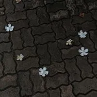 芸能人 なりきり