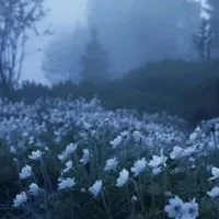 雰囲気詐欺！ミリしら原神緩也