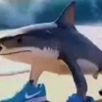 フォトナ！ブレインロッド！