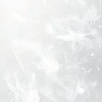 　＊　DC　也　。　