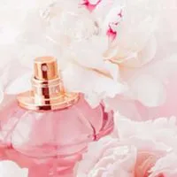 お前の一番になりたい‼️全緩也ハント