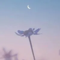 〖  HQ  〗  固 定 カ プ  ✧*｡