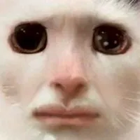 全緩 𝐡𝐮𝐧𝐭 ❗ 本命作りしていかないかニャ ❓