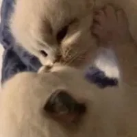 そろそろリア充なるしかないよね🤭雑談・ライトもしてるよ❣️