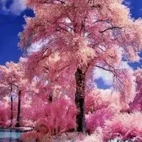 大人の雑談❤︎恋バナ❤︎ライブトーク❤︎恋愛