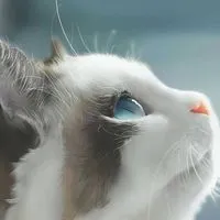 恋愛相談(ネット恋愛・遠距離恋愛)・雑談