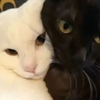 非リア卒業しようや😔雑談・ライトもしてるよ❣️