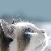 恋愛相談(ネット恋愛・遠距離恋愛)・雑談