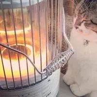 気ままに独り言