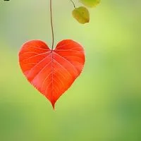 気ままに独り言