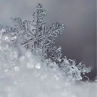 折恋♥ ❄︎.* あつまれ白雪学園.ᐟ.ᐟ𓂃𓈒 ❅ *🔔𓈒𓂂𓇬