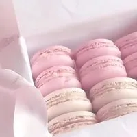 💕高1女子限定💫雑談部❗️見る専なし❗️