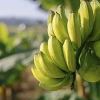 🍌東海🏠地域R∞M🍌30代 40代 50代🍌楽しい雑談🍌ライブトーク🍌素敵なオフ会🍌