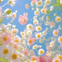 🍀.⋆20代30代40代🫧🌈その先𓂃𓈒𓂂まったり大人の恋バナ雑談🫧⋆*