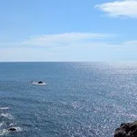 🌸東北🌸大人の雑談＆恋バナ部屋🚪