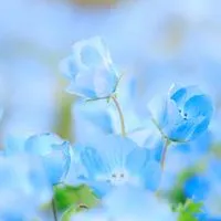 薬学部志望のための相談・勉強部屋