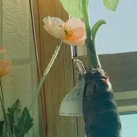 treasure海外コン情報交換etc