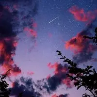 全緩也＿＿＿＿＿エレメント🪄ꕀ