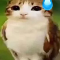 全也激緩ハント‼️