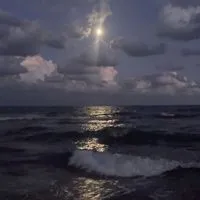 依存相手を見つけよう❣️戦争屋限定緩也ハント‼️