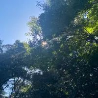 自由塾メンタルノイズオープンカウンセリング