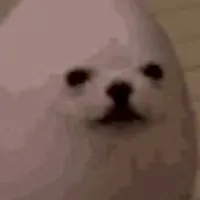 全緩　　無法地帯‼️🙌🏿🙌🏿