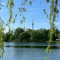 🇨🇦トロントワーホリ・留学挑戦🐣ひよこクラブ