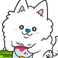 サモエドカフェスマイル　告知　【発言🈲】