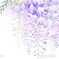 Temu_SHEIN_TikTokLite相互