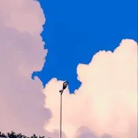 歌好き、お喋りな皆さんいらっしゃい！みんなで歌枠、雑談〜😆