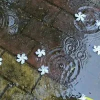 呼んでいいかな；全緩也