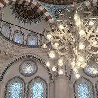 🌻女性限定🌻気の合う仲間作り🌷50代〜60前半🌷東京散策