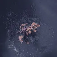 呼んでいいかな；全緩也