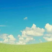 🌿60歳 還暦以上のシングルライフ🌼