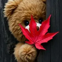 💍既婚者💍大人の雑恋✨next🚪stage🗝️✨