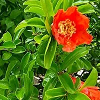 福祉ニュースの掲示板