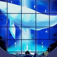 実況者ゆるゆる也〜!!