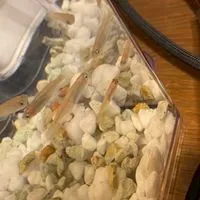 アクアリウム興味しかない人おいでーーー