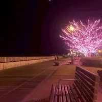 ミドルCAFE＠広島、岡山、山口（40代〜60代限定・交流オフ会）