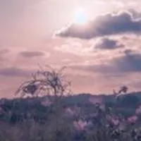 @　⌒ ⌒　　ず　~　ッ　と　一緒　ダョ　?¿　　　HQ　固定　,