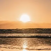 ✨✨✨ハントもアリ⁉️集まれ緩緩緩全也✨✨✨